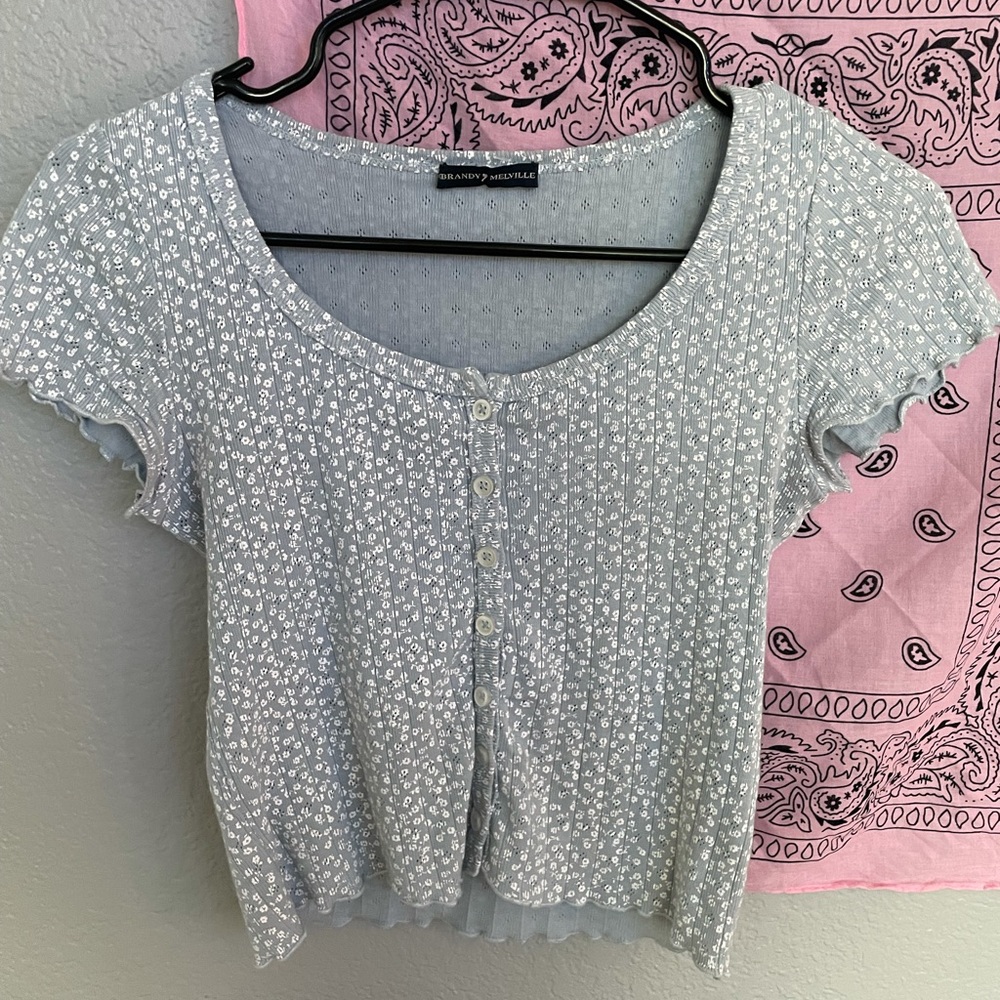 Brandy Melville blue floral crop top